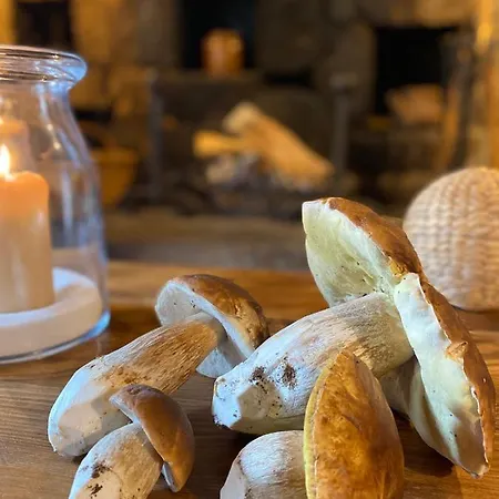 Ferienhaus La Maison De Paul En Aubrac - Lozere *