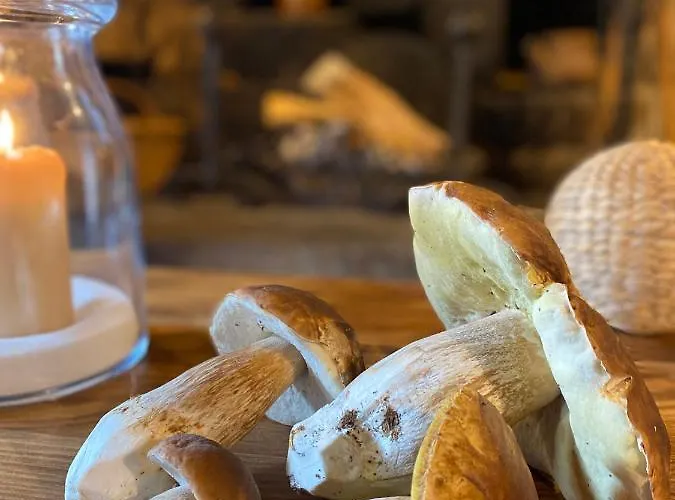 Дом отдыха La Maison De Paul En Aubrac - Lozere *